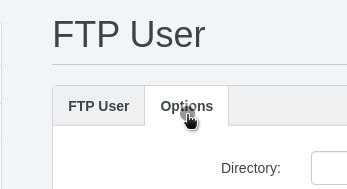 Click FTP Accounts
